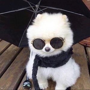 Meet your Posher, Jack